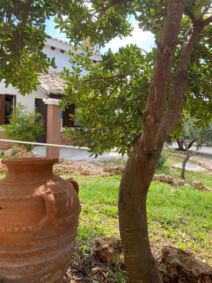 Complejo Rural Ibipozo Casa de hóspedes Pozo Alcón Exterior foto